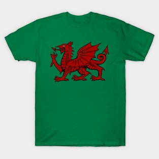 Might of the Dragon T-Shirt